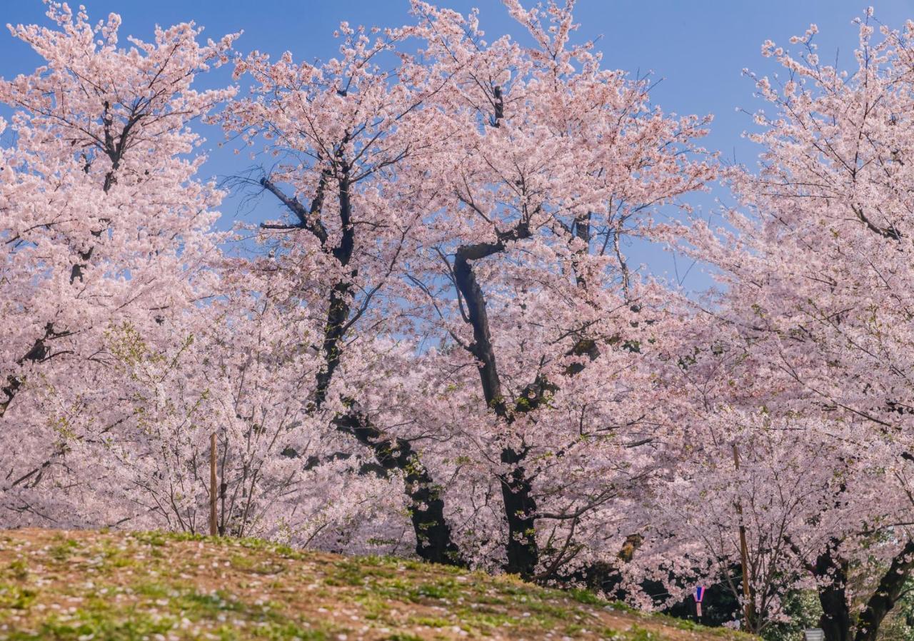 Oyo Hotel Exsaison Sugamo Tokyo Dış mekan fotoğraf